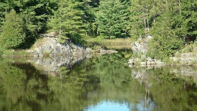Lamoille River Walk