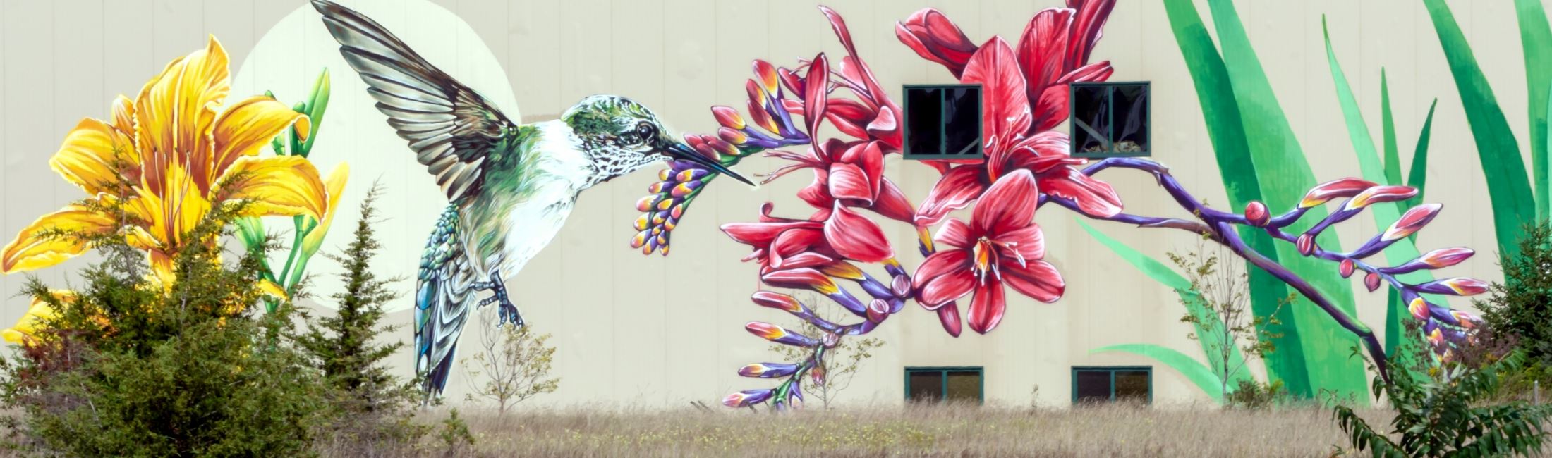 Hummingbird Mural at Gardener's Supply Company