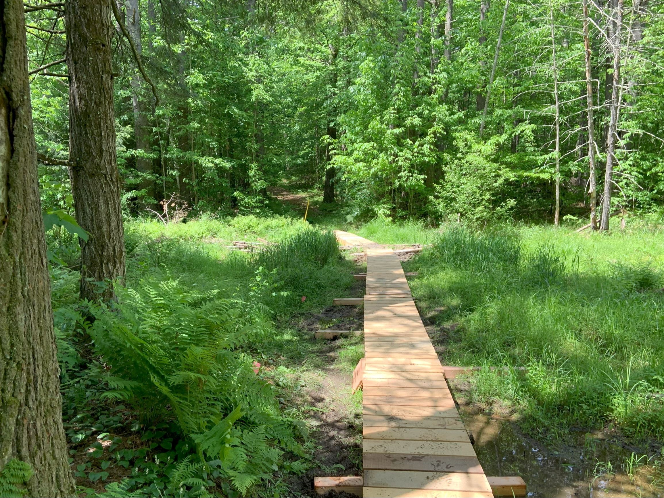 Mountain Bike Trails Bridge