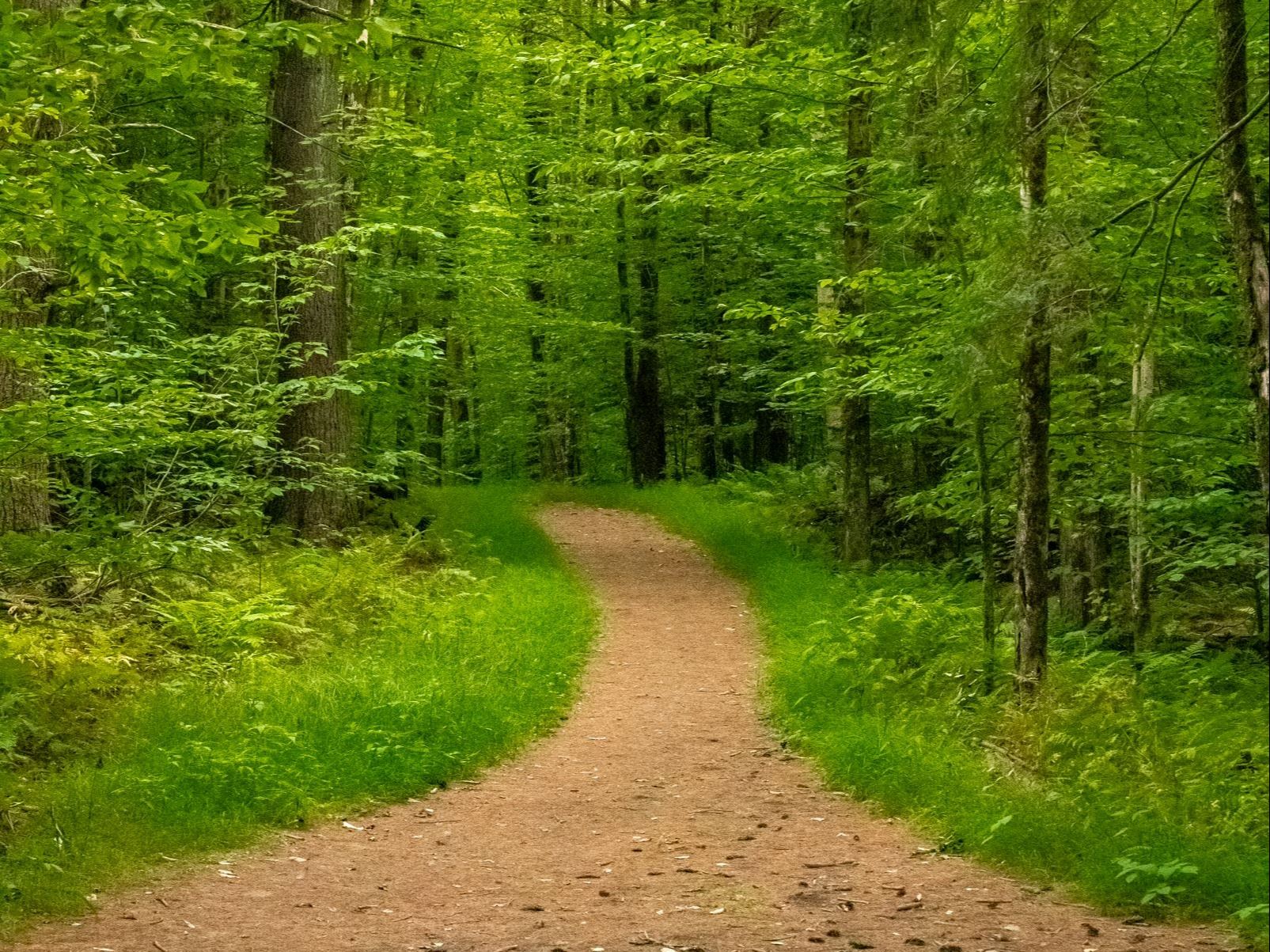 Bombardier Park Red Trail