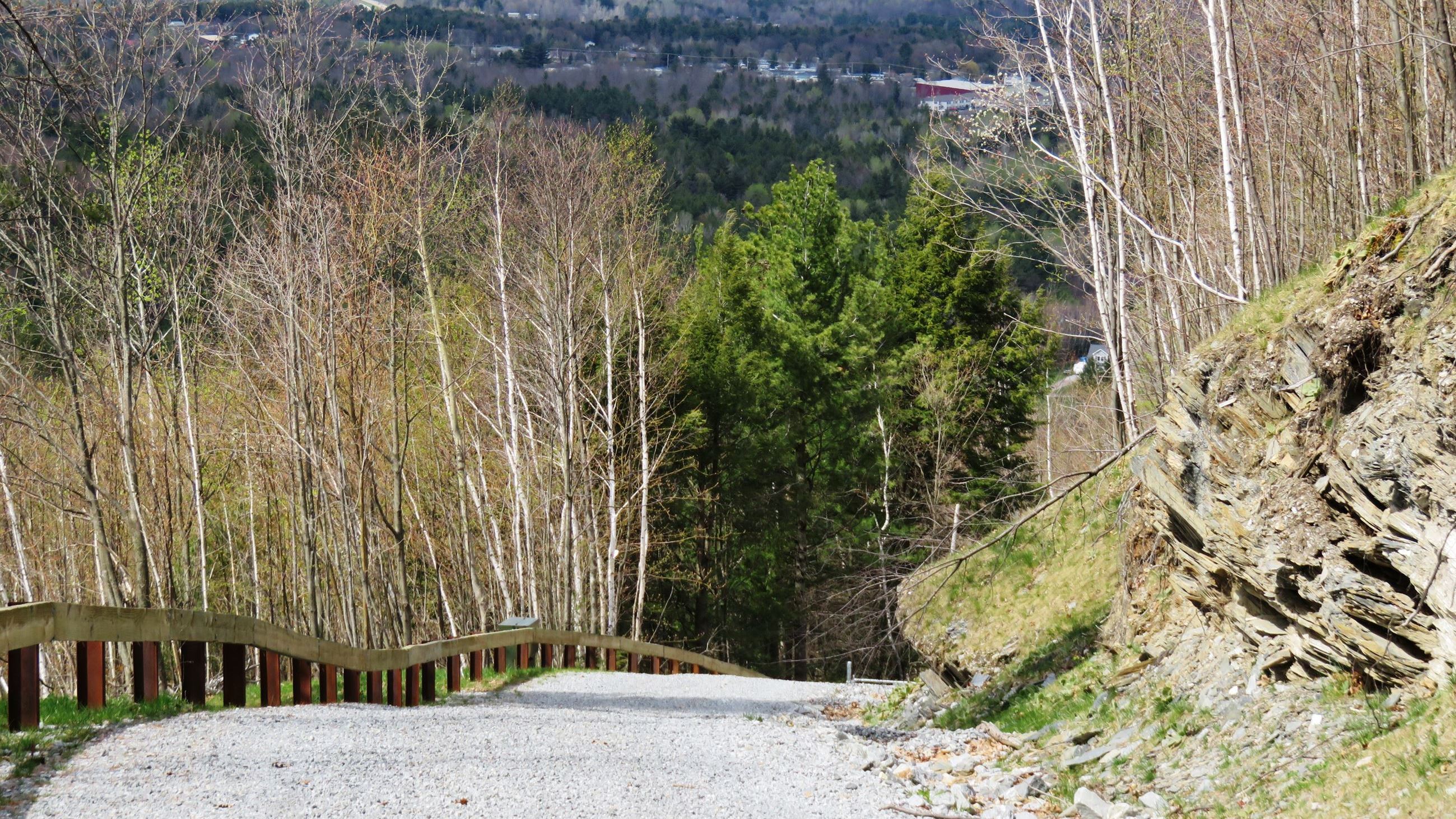 Georgia Mountain Road